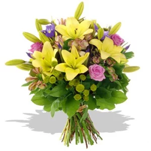 Мисс элегантность 